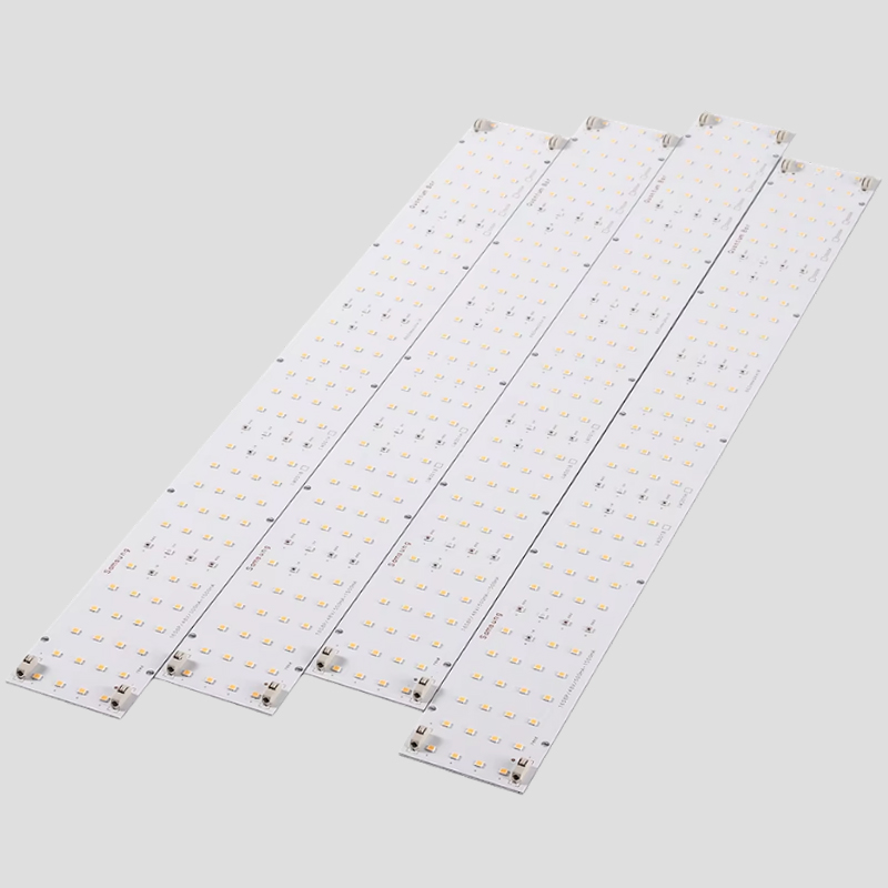 Customization Module