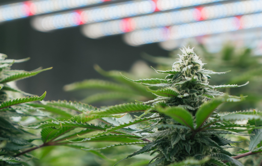 1759045701164387.png 矩形 500@1x.png