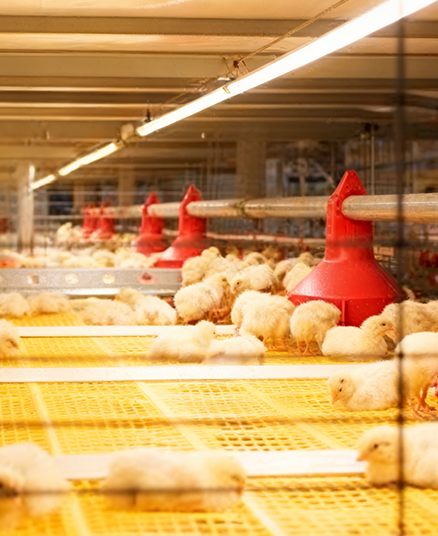 1760500203102175.png 5.png