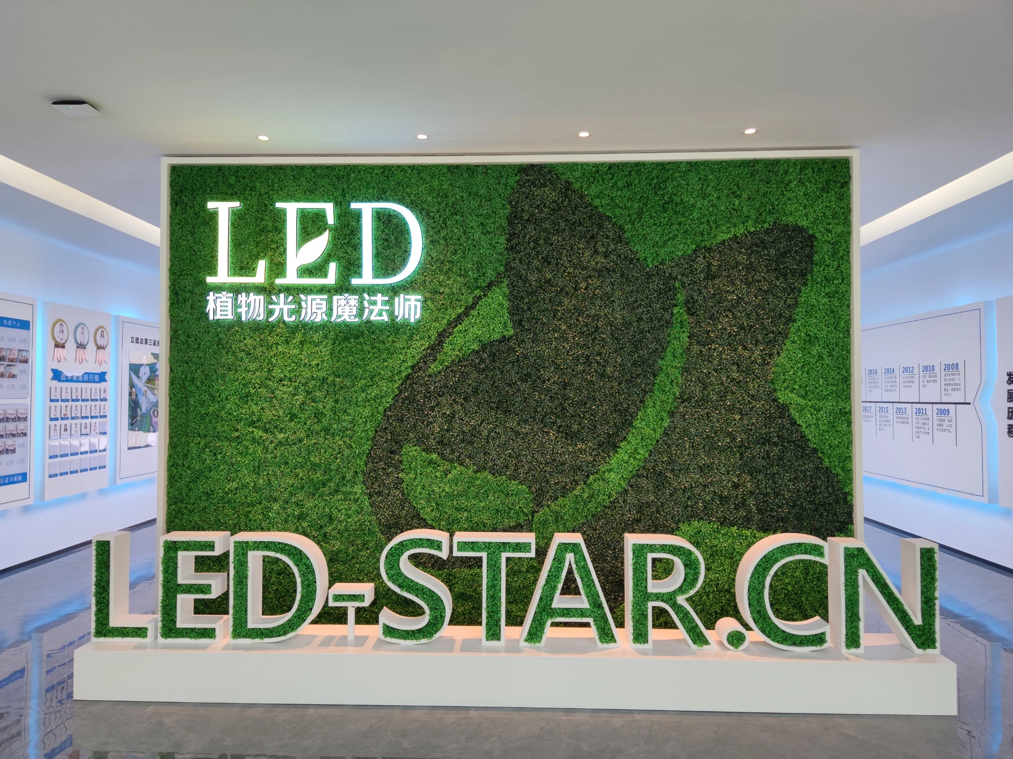 1780909111113425.webp LED-STAR.webp